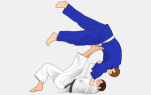 Le Judo Club Lacapelle-Cahors recherche un professeur de Judo pour la prochaine rentrée ... !