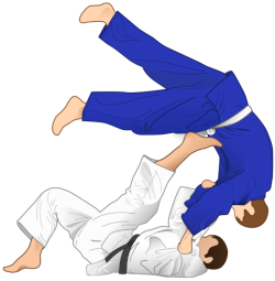 Le Judo Club Lacapelle-Cahors recherche un professeur de Judo pour la prochaine rentrée ... !