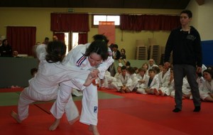 512117f951ed0_stage judo 17022013 114.jpg