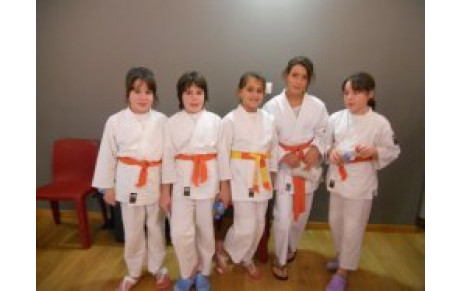 DOJO DEPARTEMENTAL DE CAHORS LE 20.11.2011