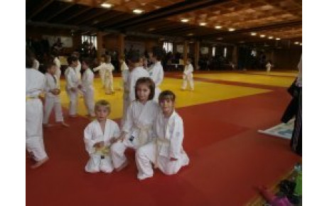 CALENDRIER 2012-2013 MINI POUSSIN &amp; POUSSIN