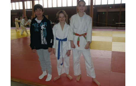 COMPTE RENDU COMPETITIONS ARBITRAGE REQUIS COMMISSAIRE SPORTIF.