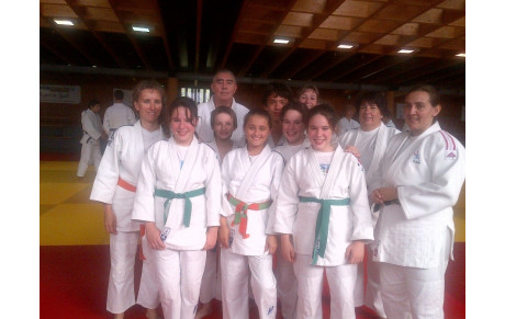 STAGE JUDO 30 OCTOBRE 2013